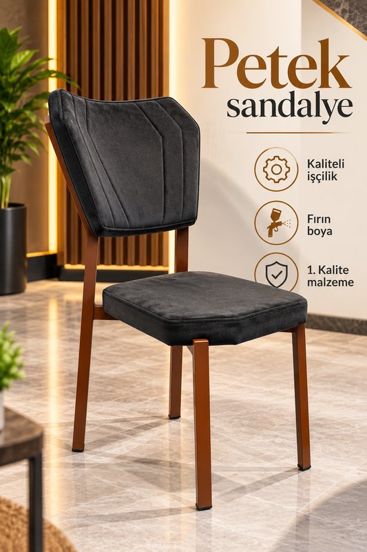 Salon Sandalyesi